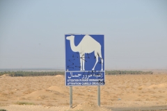 The sign was perfect timing too. 