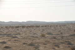 We say goodbye to our caravan into the distance as we motor on.