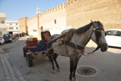 Here you find a Tunisian SUV or delivery vehicle, one horse power. 
