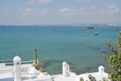 The development of tourism dates back to 1960 through the joint efforts of government and private groups. 