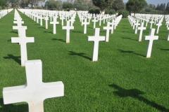 No matter how you look you see the straight lines the the cross form. 