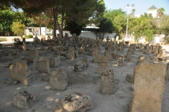 Sanctuary of Tophet today.  Today this eerie site can be found near the Punic Port in Tunis, covering about an acre of land. You can walk among the grave markers, viewing the inscriptions and carvings of the ancient grave markers under the shade of palm trees
