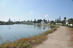 It was not a large area as you can see.