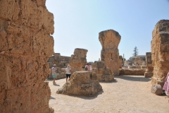 The city's location made it master of the Mediterranean's maritime trade. All ships crossing the sea had to pass between Sicily and the coast of Tunisia, where Carthage was built, affording it great power and influence