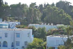 The U.S. Ambassadors residence. The U.S. flag can be see among the trees