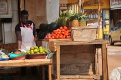 To supplement their income, rural women may engage in small-scale entrepreneurial activities such as rearing and selling local breeds of animals. Nonetheless, because of their heavy workload, they have little time for these income-generating activities. The poor cannot support their children at school and in most cases, girls drop out of school to help out in domestic work or to get married.