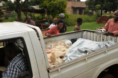 Fish being sold IN ICE in the bed of the truck of this vendor. This was very rare to see any ice.