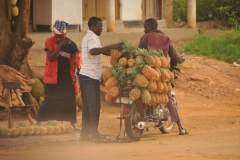 Try riding a bicycle with this many pineapples strapped to it. Looks like a sale too.