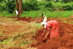 A mother and children working a field near the highway