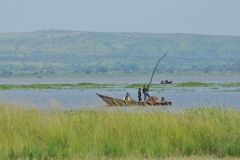 Local villagers fishing in the shallow water  banks of the Nile. They are stuck in the mud and trying to free themselves.