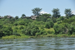 View of the Paraa Safari Lodge where we are staying from the Nile River