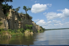 A number of birds make their homes along  the side of the banks of the Nile in Uganda.