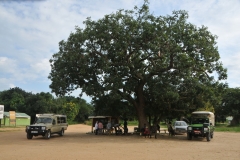 Waiting for the ferry to arrive