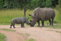 This looks like a serious father and son talk.