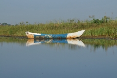 Great reflections in the early morning on the water