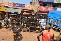 Fresh live Chickens anyone?