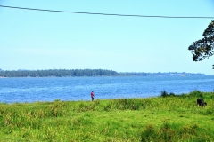 There is so much to see in the country of Uganda. The people have been very helpful and friendly during our stay here.  We are now flying from Entebbe to Kigari, Rwanda to contiune our journey..