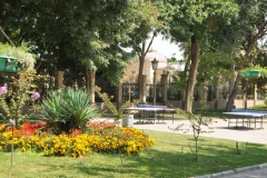 Flower gardens in Tashkent Park