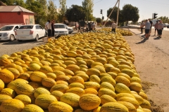 Melons along the highway for sale.  Today we drove for 8 hours with breaks heading to Bukhara our next stop.