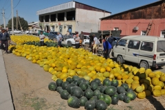 Lots of interest in the melons.