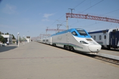 Afrosiyob is the fastest train in Uzbekistan, allowing you to quickly and comfortably travel between Tashkent, Samarkand and Bukhara. We took this train as we were not allowed to enter into the city by bus due to a Shanghai Conference of 17 Presidents attending. More on this later.